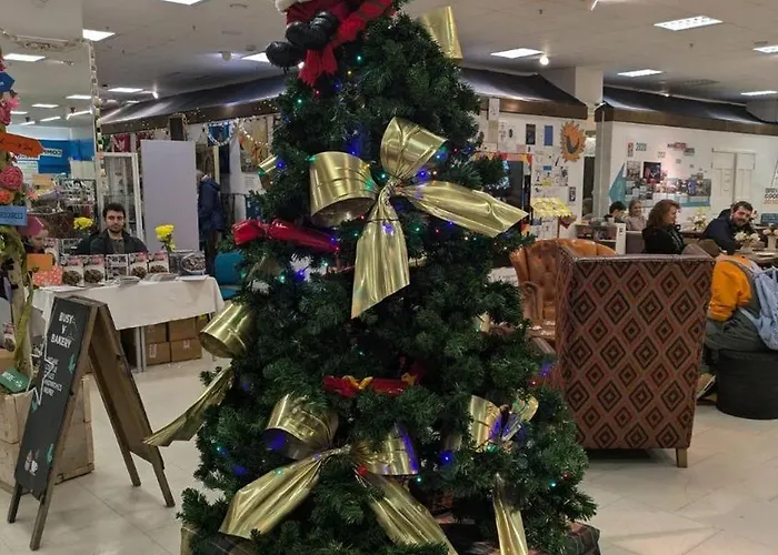 The بيت ضيافة بريستول